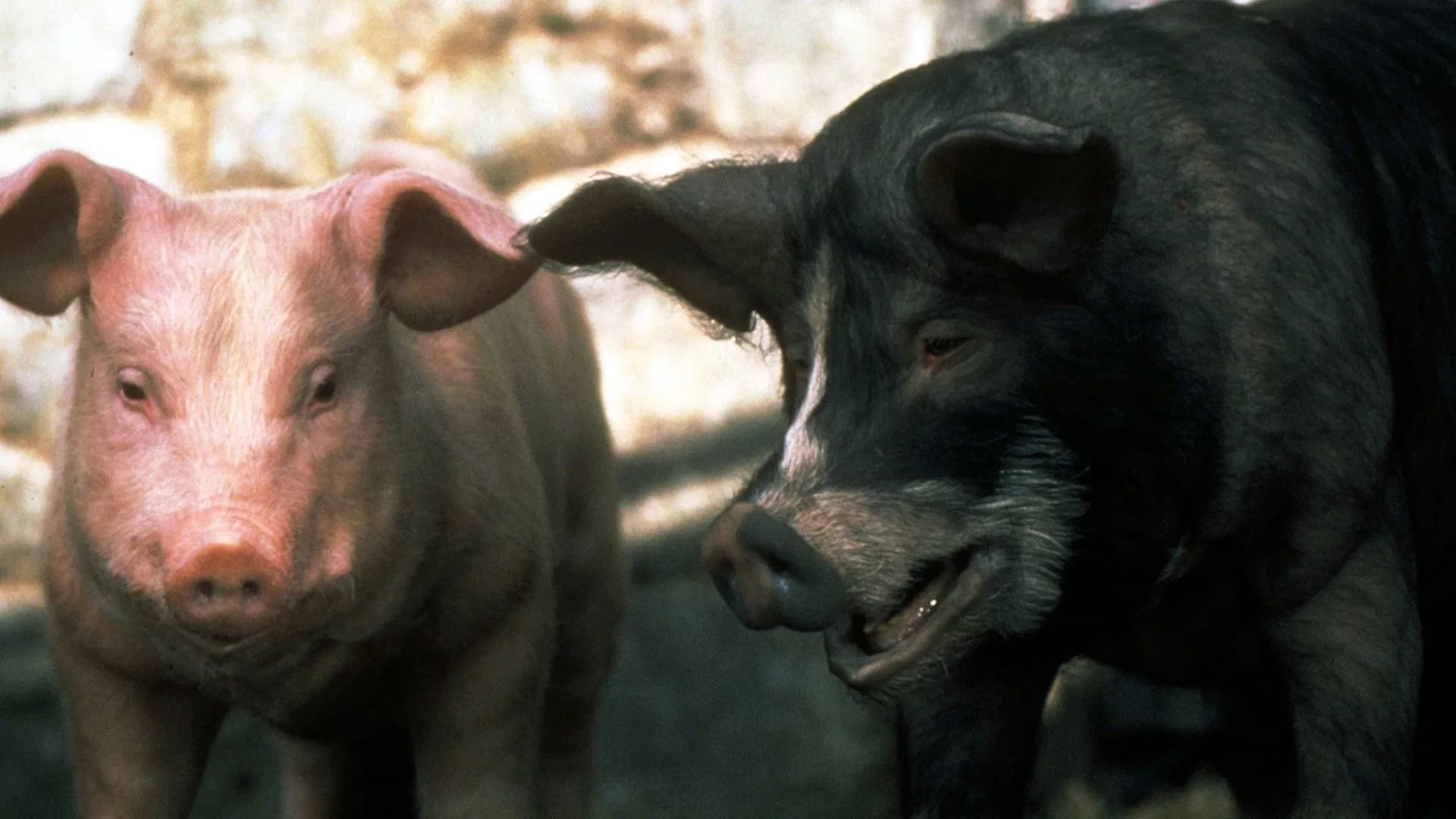 La Ferme des Animaux